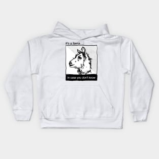 in case you don't know Kids Hoodie